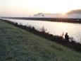 Winkle Picker 2017 Willemstad