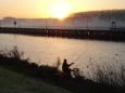 Winkle Picker 2017 Willemstad