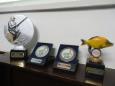 DSC01103 - Copy