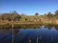 IMG-20210226-WA0002.jpg