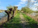 Onderhoud en gesloten visseizoen fort Sabina Henrica