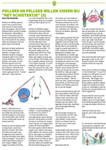 Sportvisserij Nederland en Federaties vormen Sportvisunie 